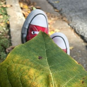 Meet your Posher, Morgan